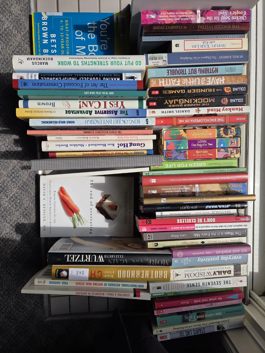 Collection of Books - photo 2