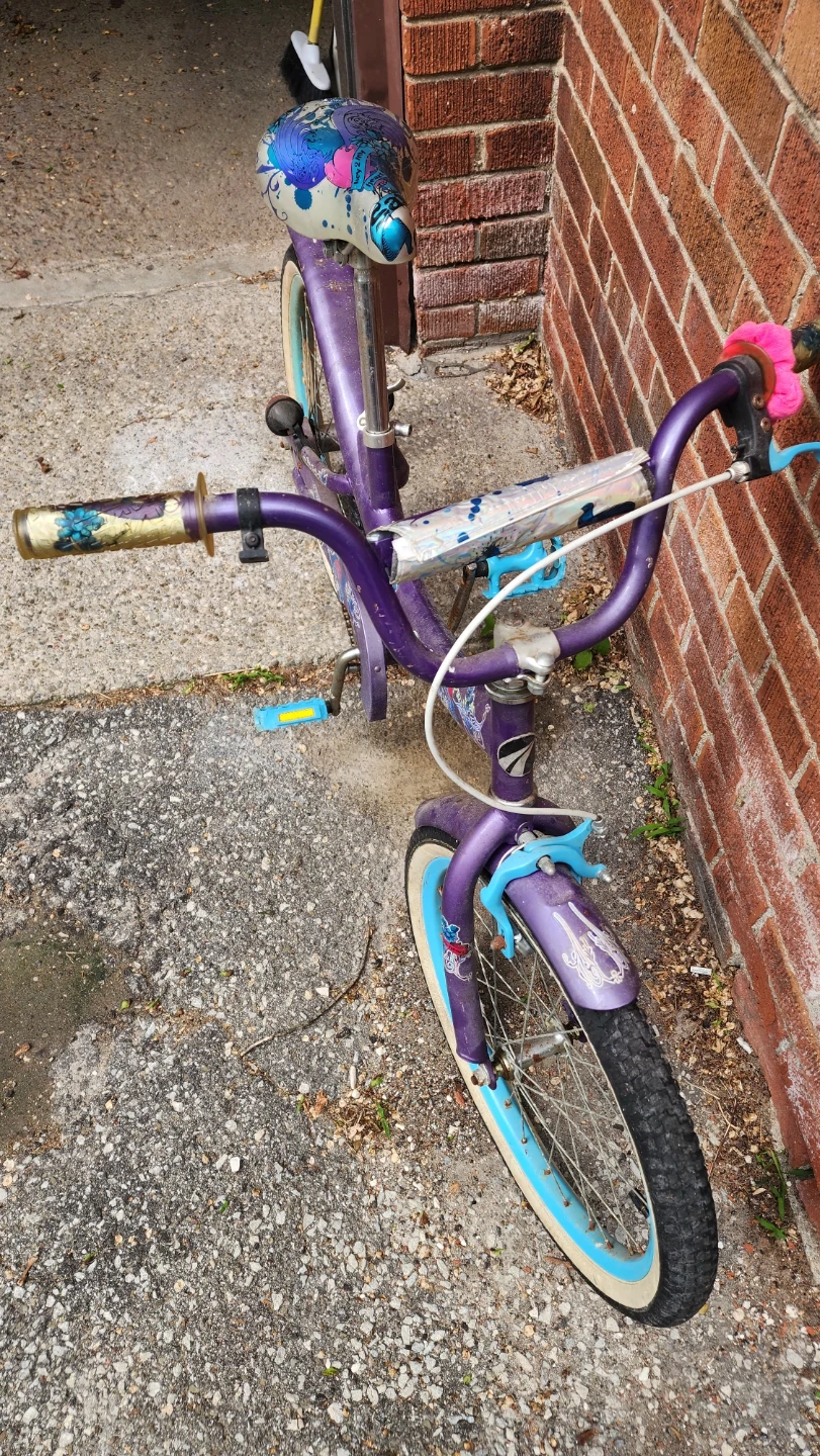 Girls Bicycle