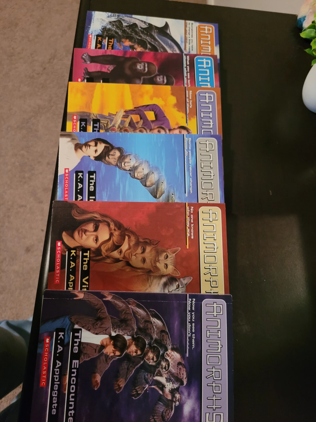 Ani morphs book collection - photo 2