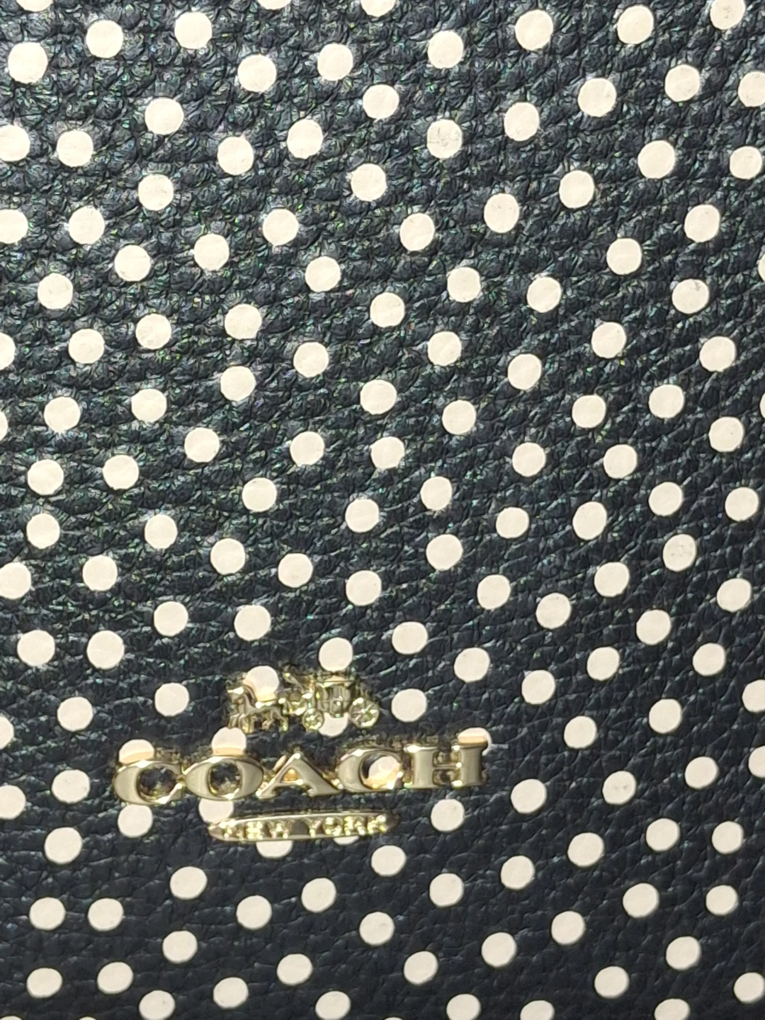 Coach Polka Dot Crossbody Bag - photo 2