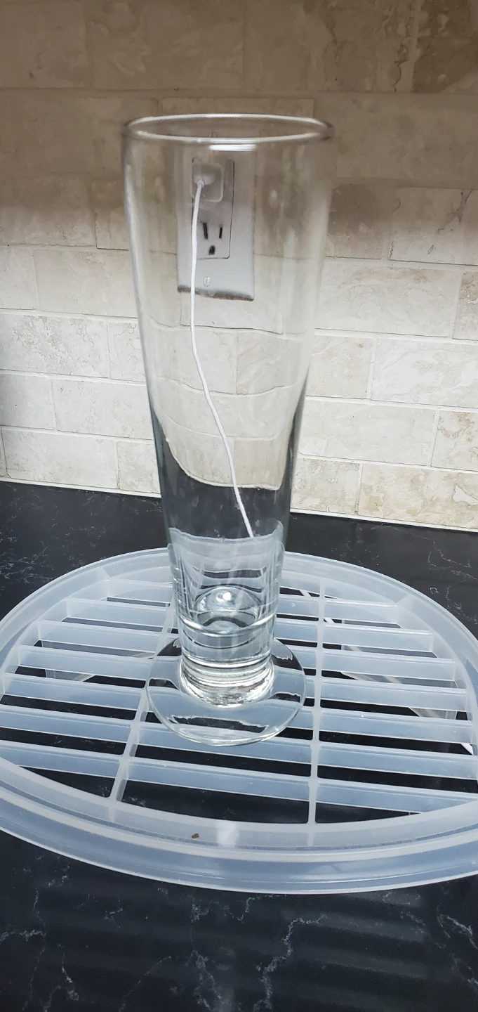 Clear Glass Vase ⚽️⚽️⚽️