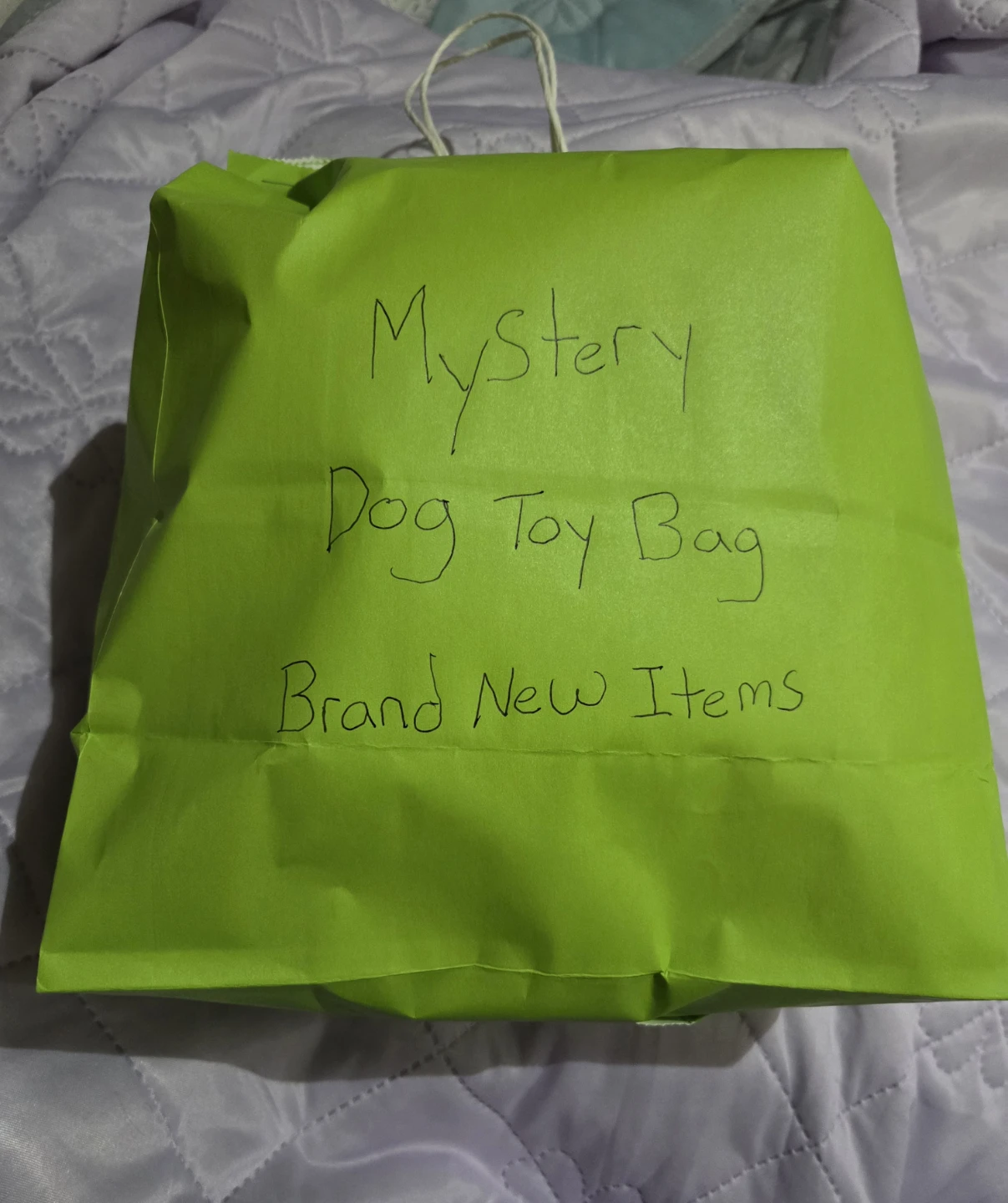 Mystery Dog Toy Bag - Brand New Items