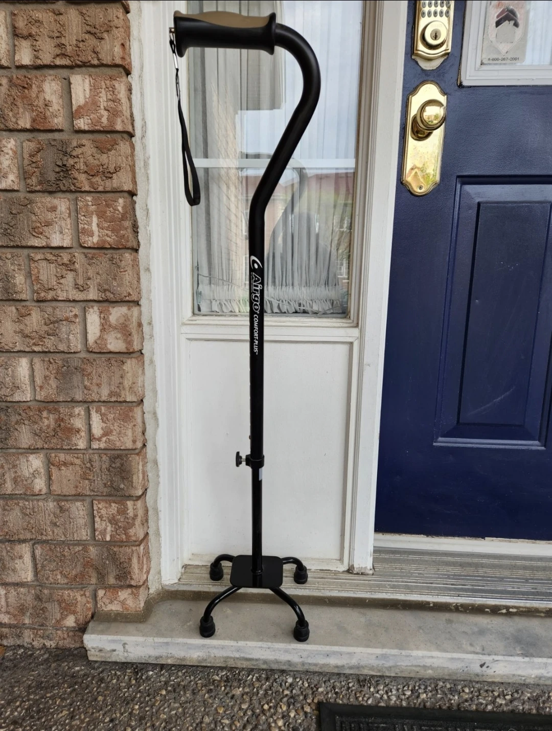 Walking cane