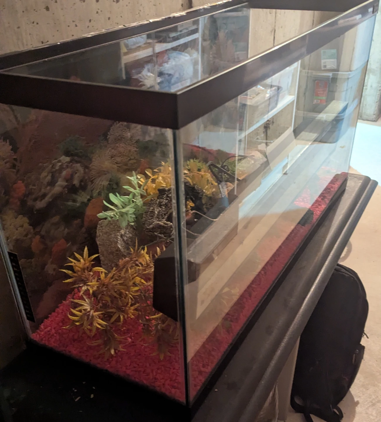 Aquarium for sale 30L x 12W x 18H 34 gallon