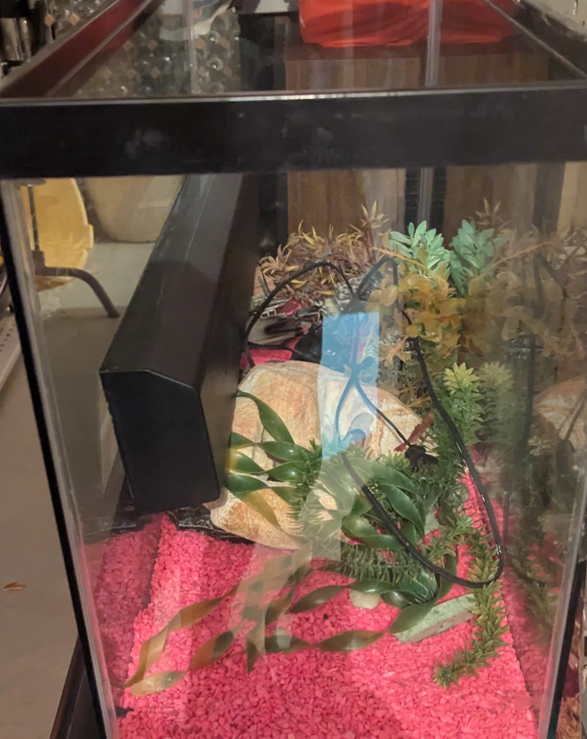 Aquarium for sale 30L x 12W x 18H 34 gallon - photo 2