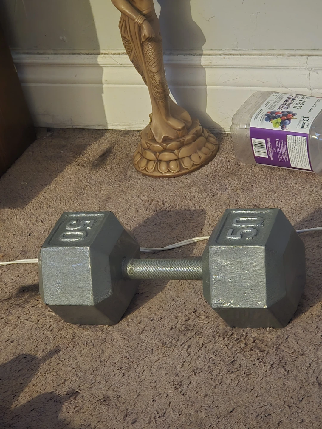 50 lb Hex Dumbbell