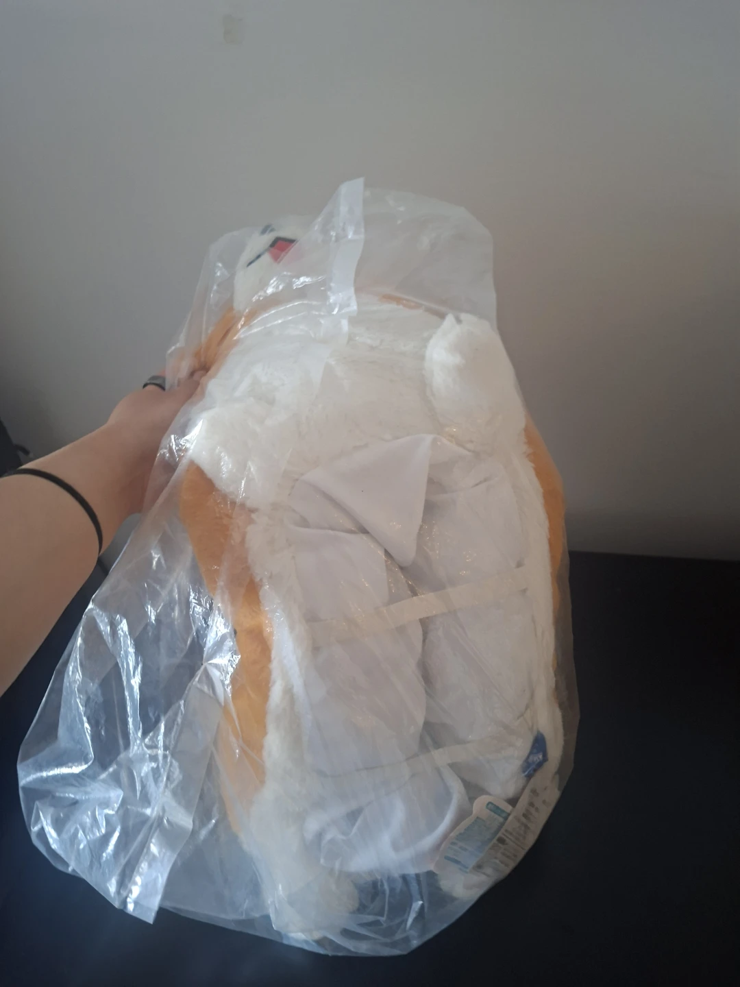 Amuse Ichini Corgi Tissue Box Plushie - photo 5