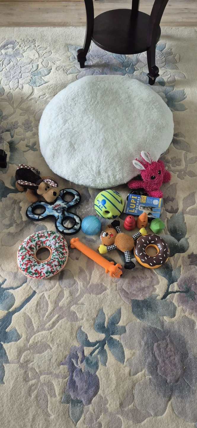 Collection of Dog Toys and Plush Pillow
