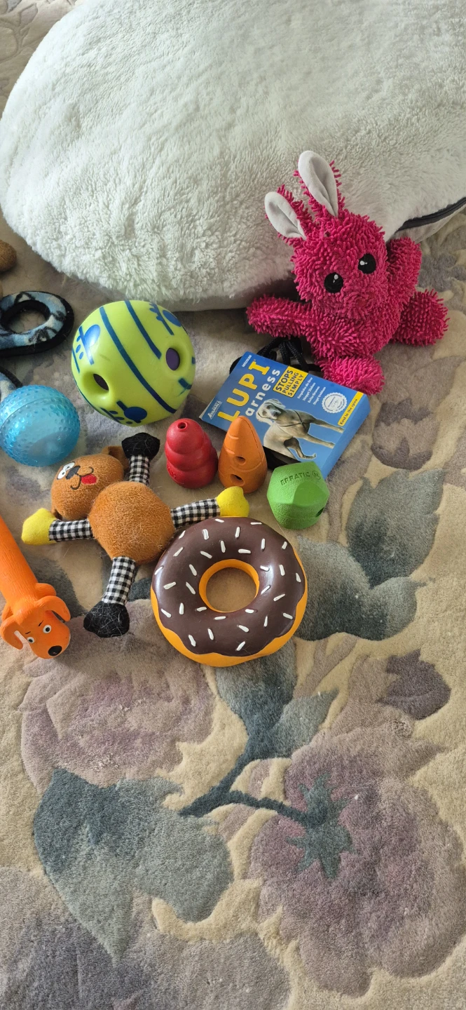 Collection of Dog Toys and Plush Pillow - photo 2