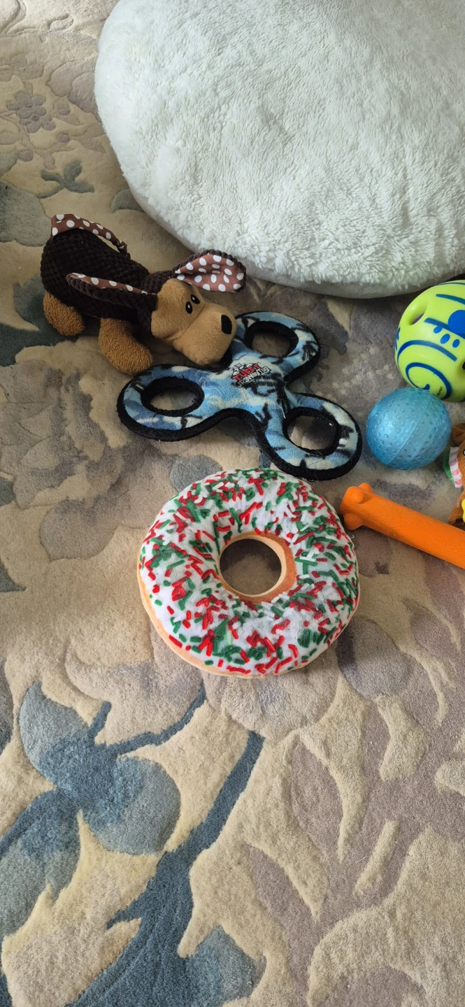 Collection of Dog Toys and Plush Pillow - photo 3