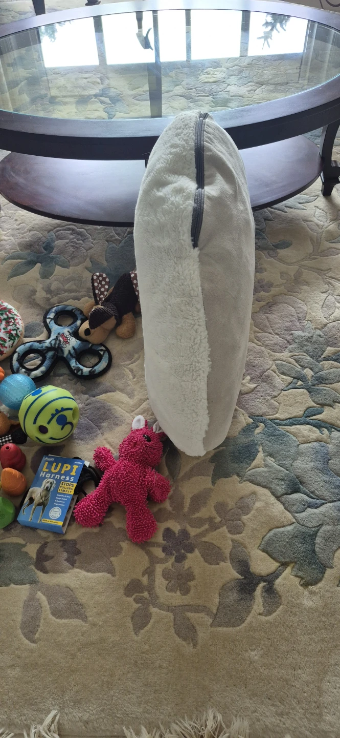Collection of Dog Toys and Plush Pillow - photo 4