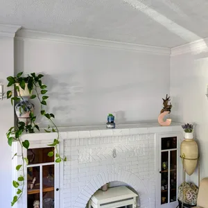 Indoor paint -- Shoreline