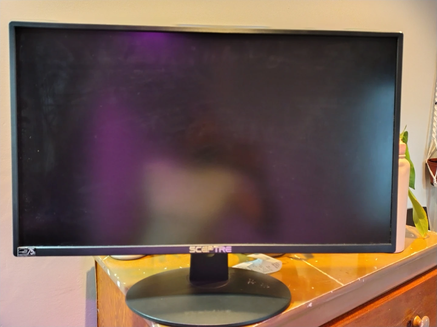 Sceptre Monitor E248W