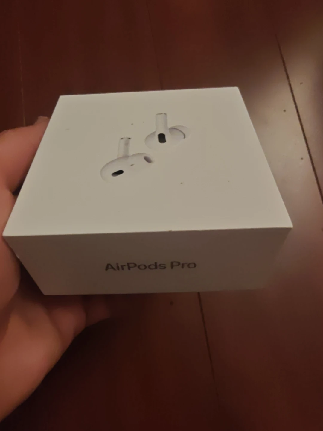 Apple AirPods Pro (1st Gen)