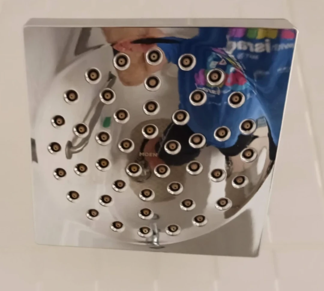 ⚽  Moen Shower Head