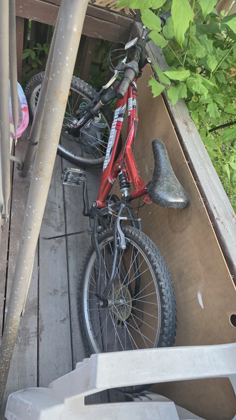 Red mountain bike