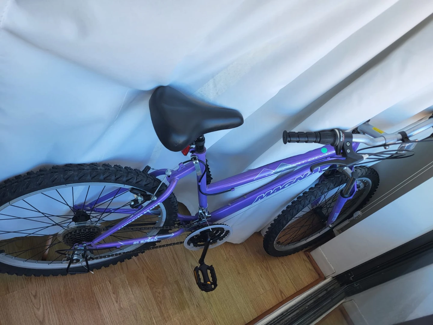 Magna Ladies Great Divide Mountain Bike - 24" Purple