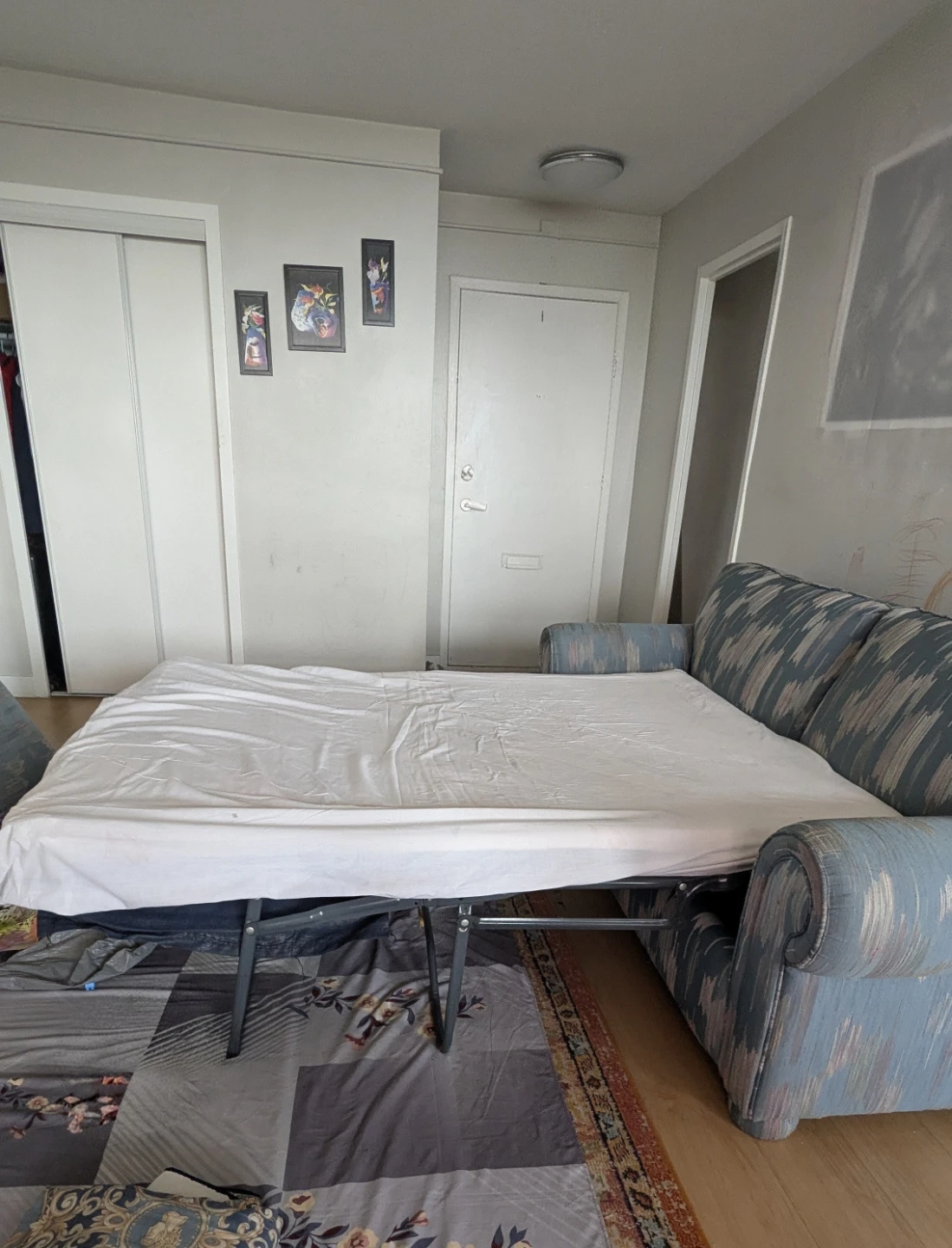 2 seater Sofa cum Bed - photo 2