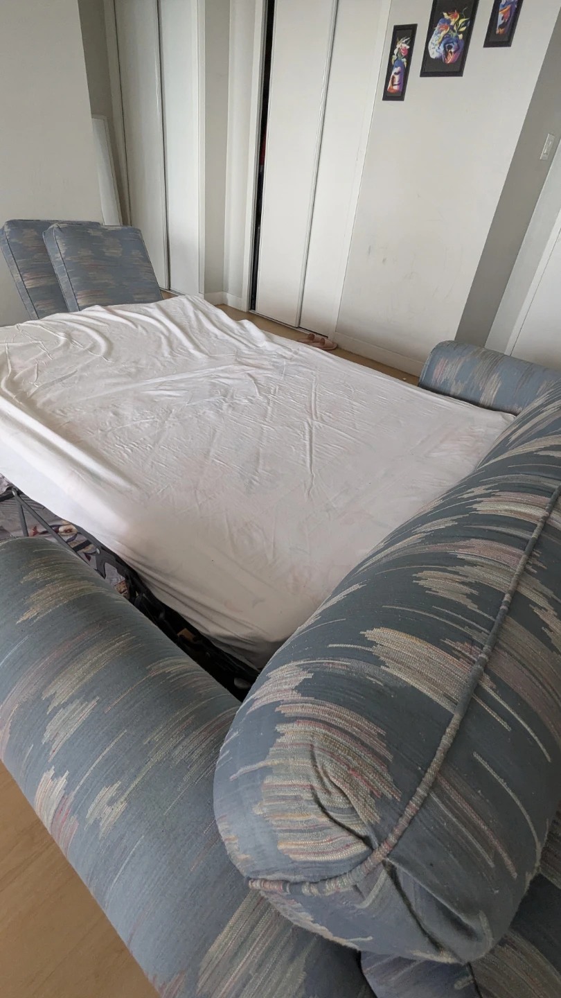 2 seater Sofa cum Bed - photo 3