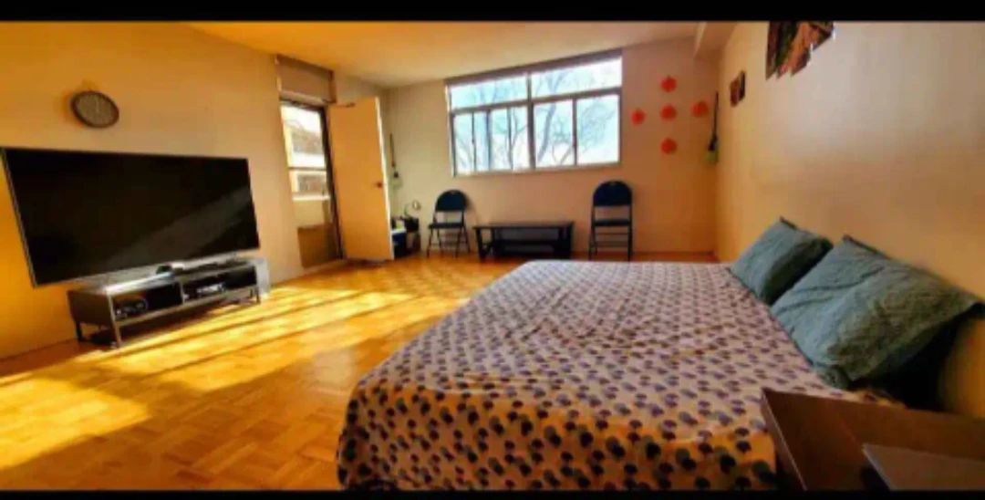 Studio Apartment Furnishings and Appliances - photo 2