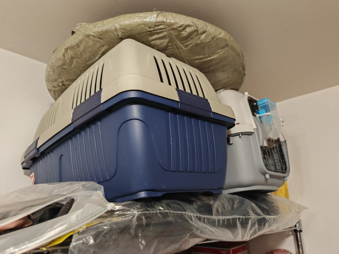 Blue and beige pet carrier