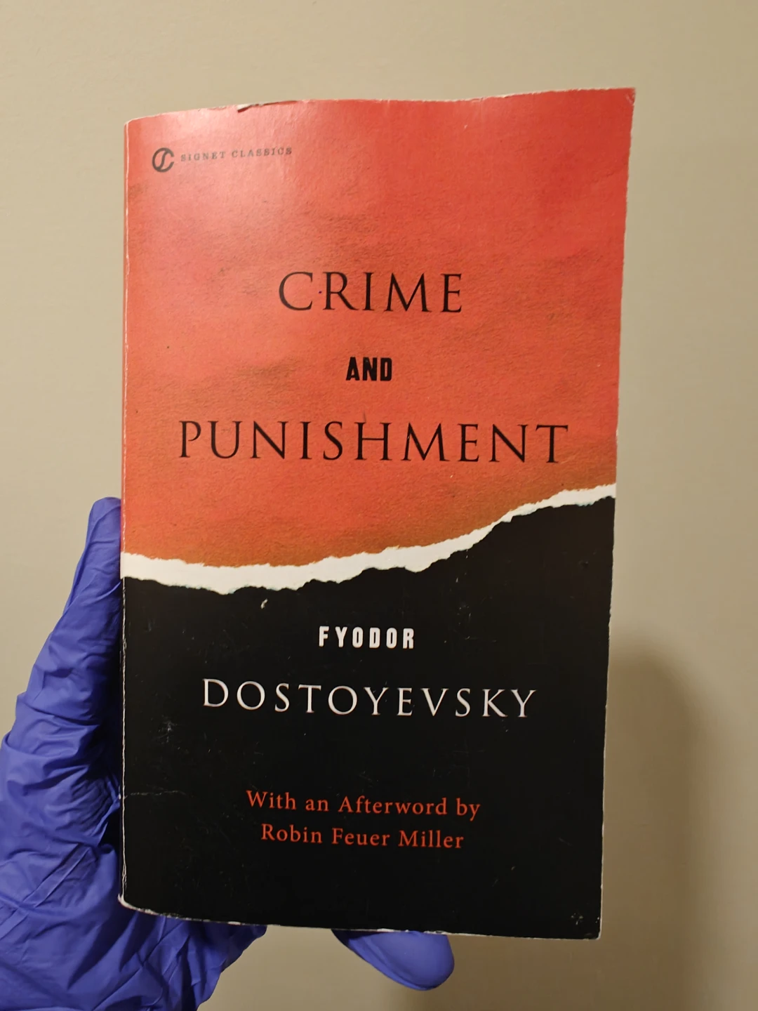 Crime and Punishment by Fyodor Dostoevsky Book Novel