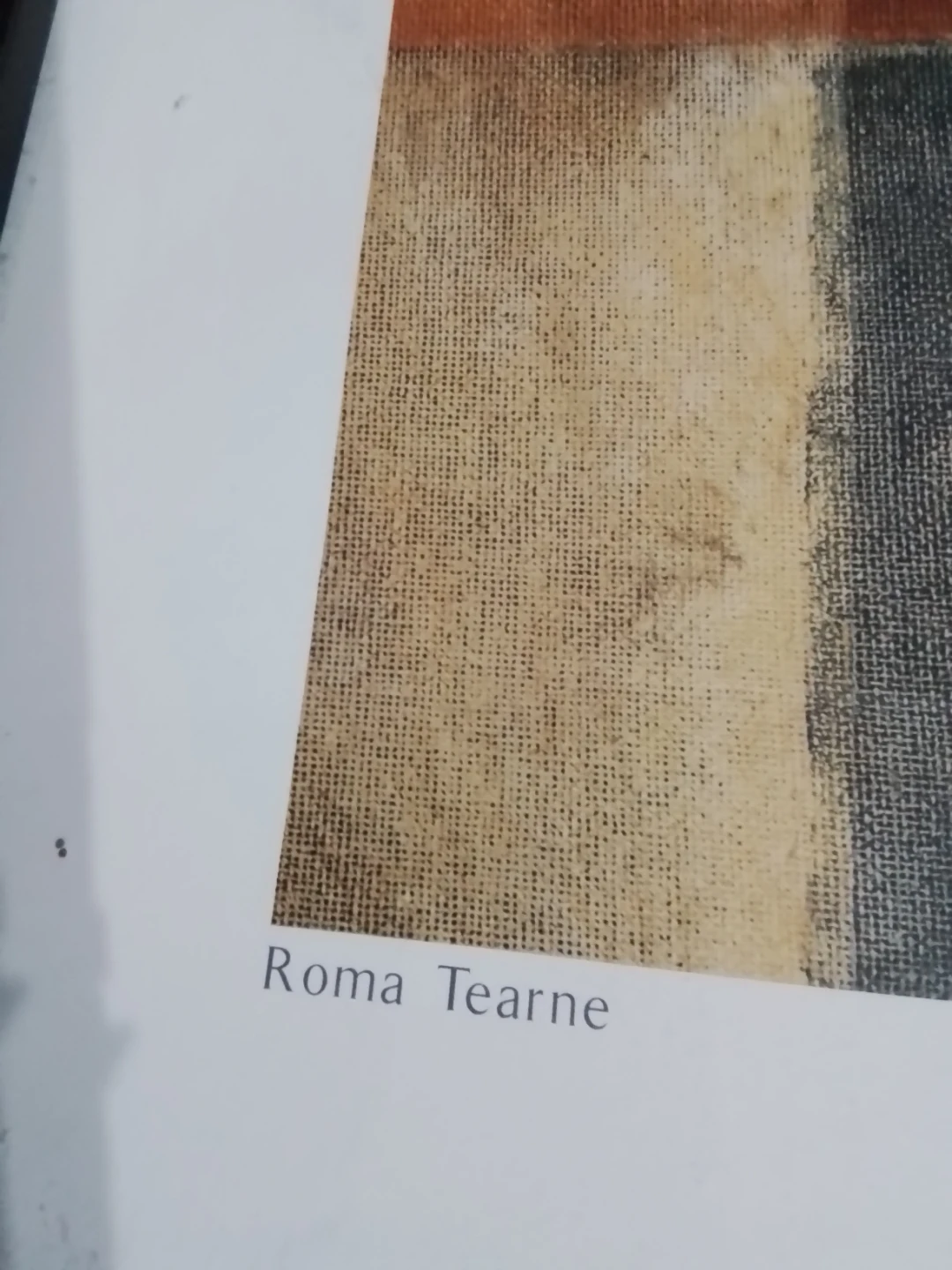 Roma Tearne "Minerals" Framed Art Print - photo 4