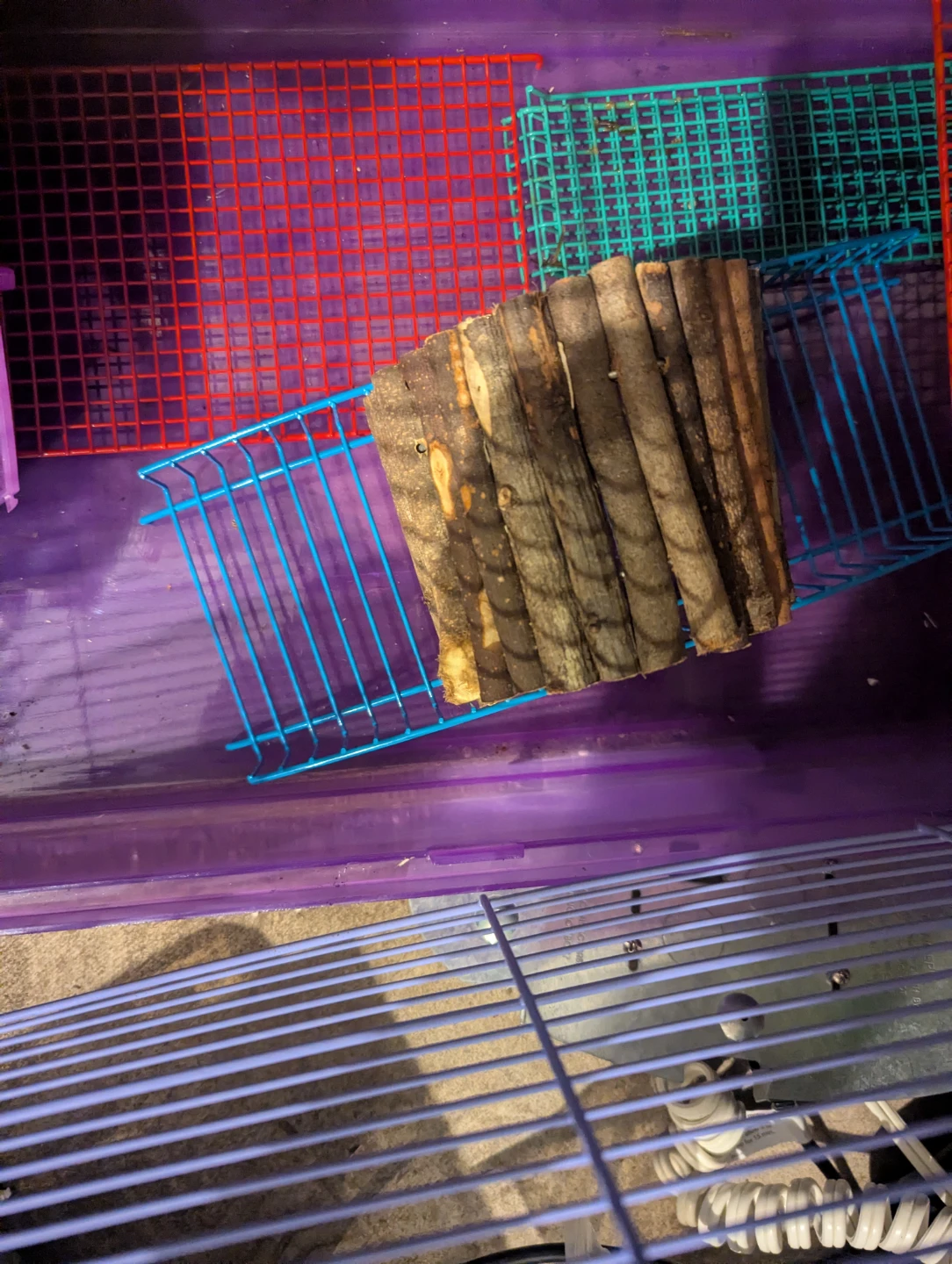 Dwarf Hamster Cage with Accessories - photo 3