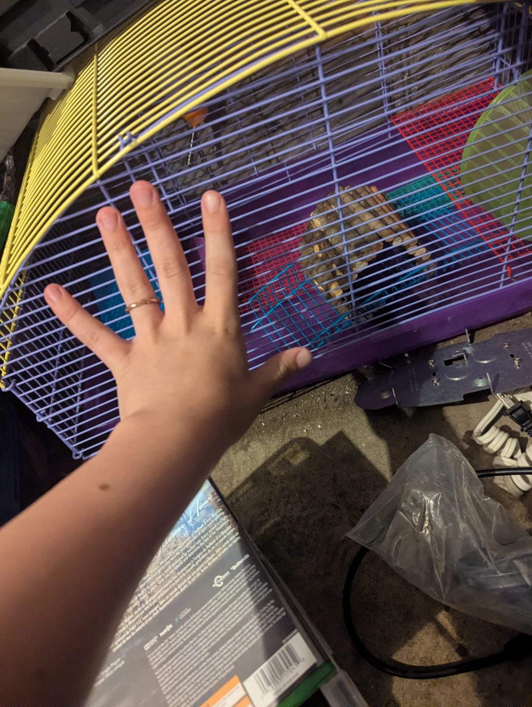 Dwarf Hamster Cage with Accessories - photo 4