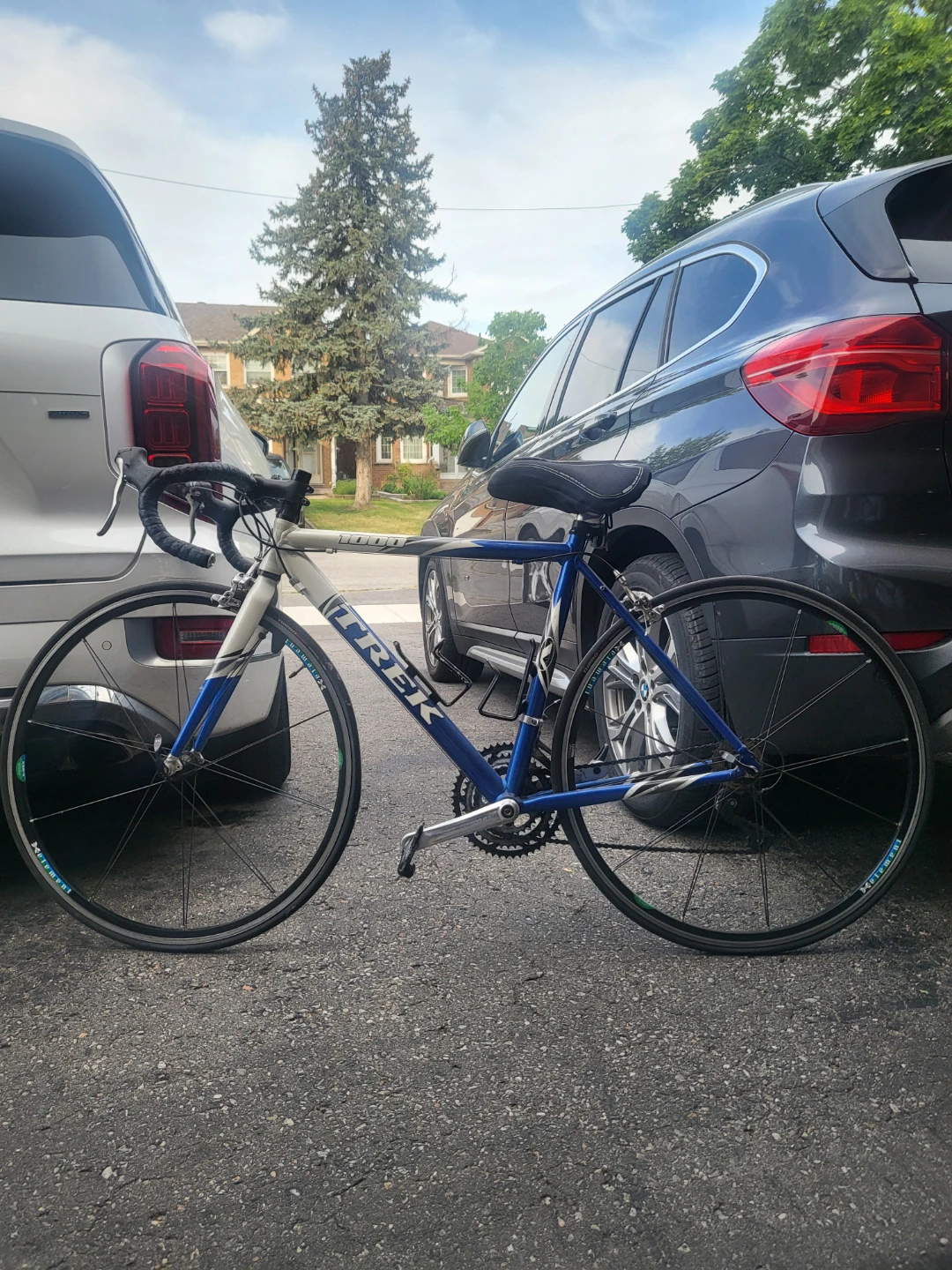 TREK Road bike