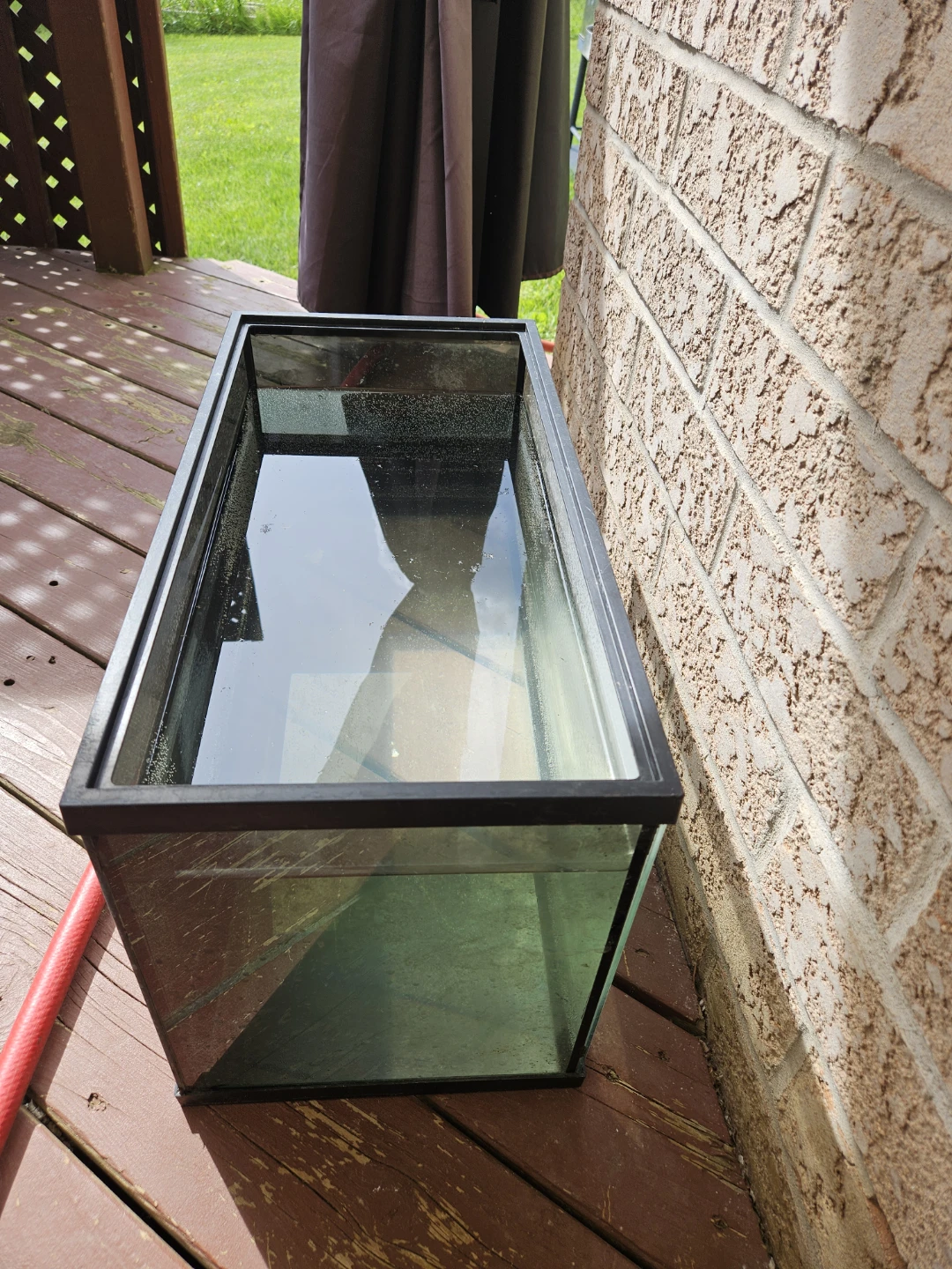 10 Gallon Glass Aquarium Tank - photo 3