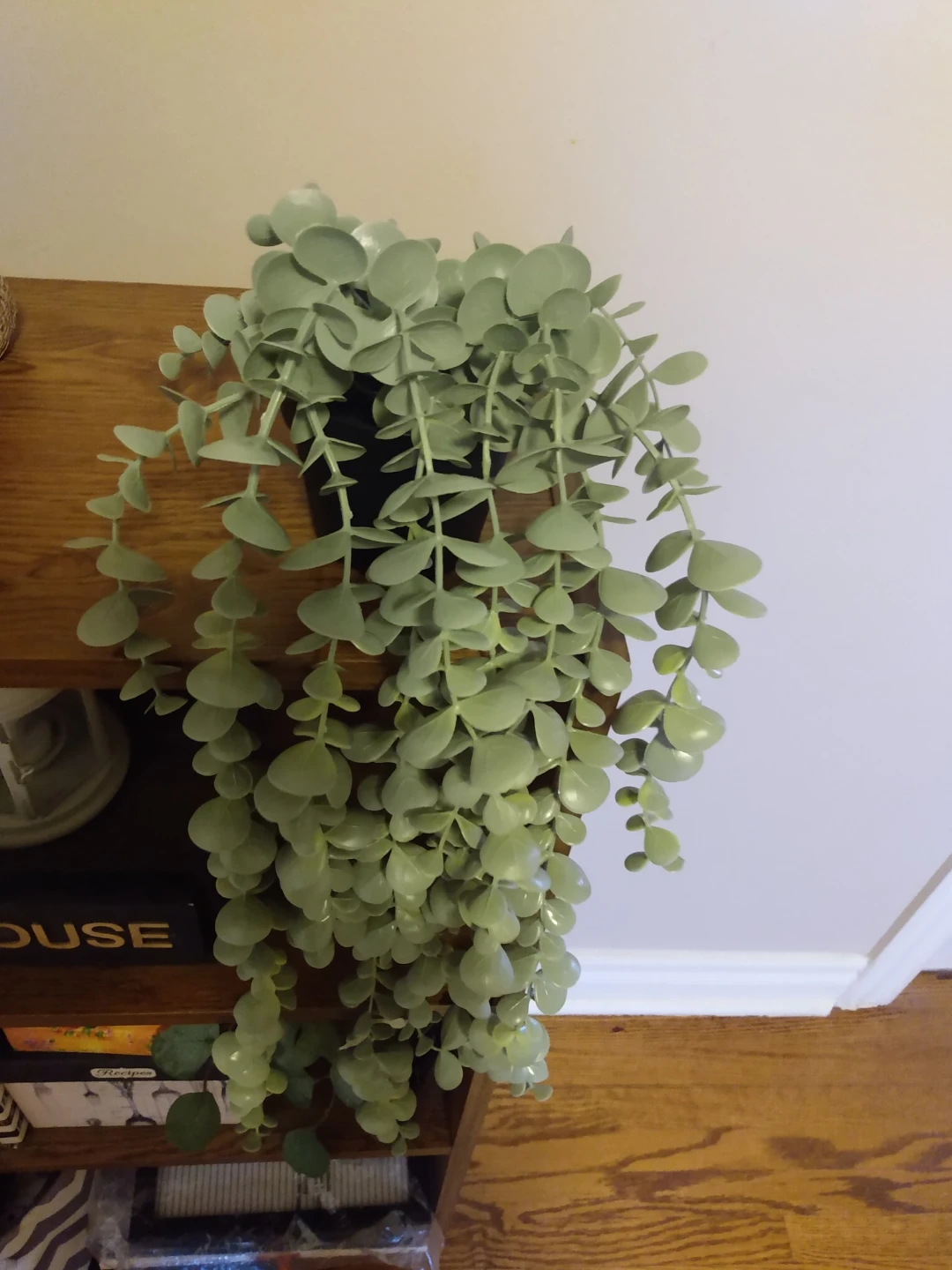 ⚾Artificial Hanging Eucalyptus Plant in black pot