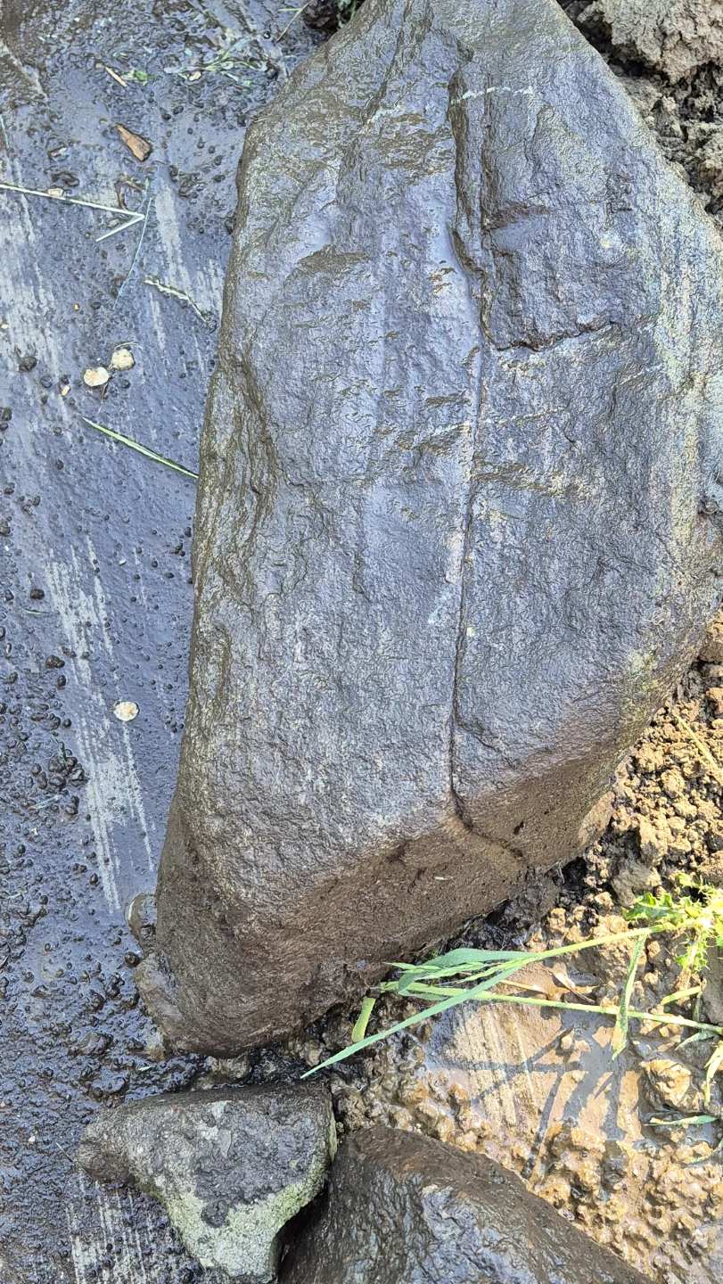 Decorative Garden Rocks - photo 3