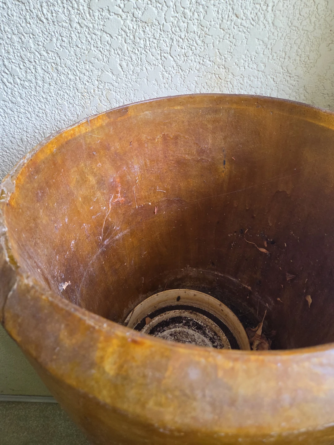 Large Tall Fiberglass Planter 5'3" tall x 20" wide - photo 2
