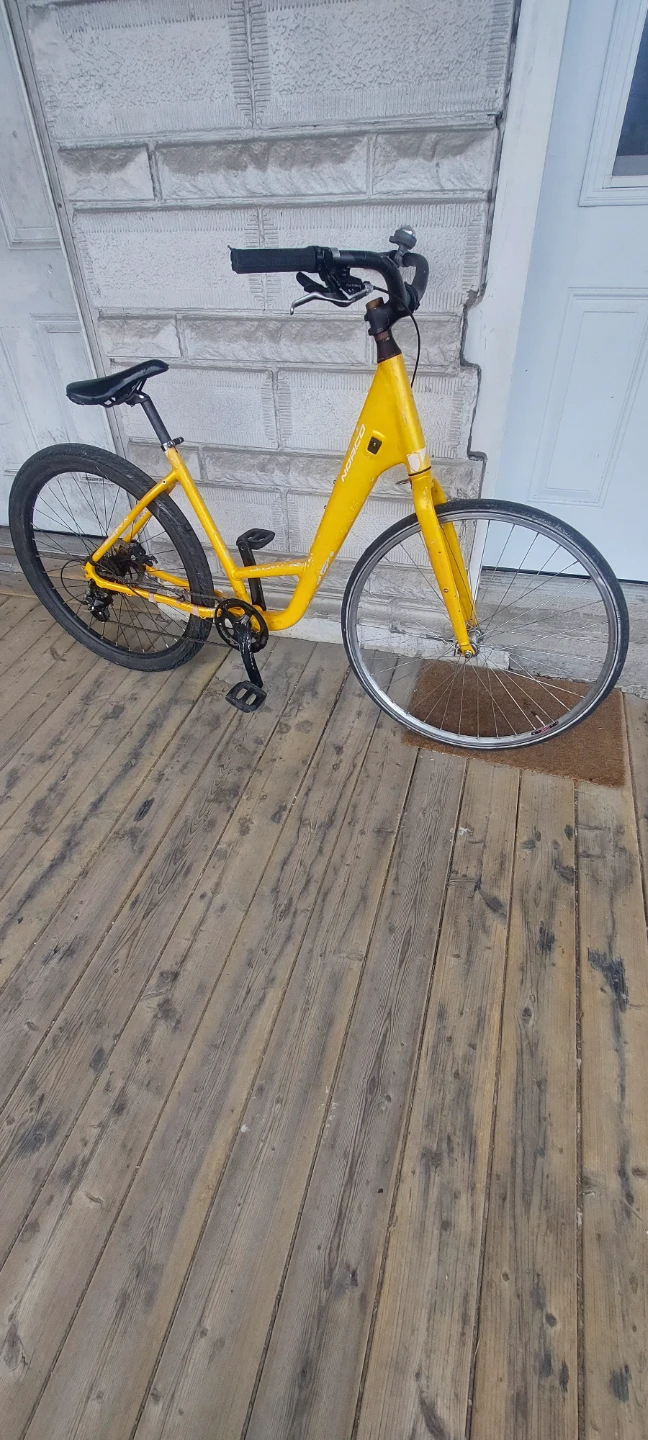 Norco Scene 1 Bike