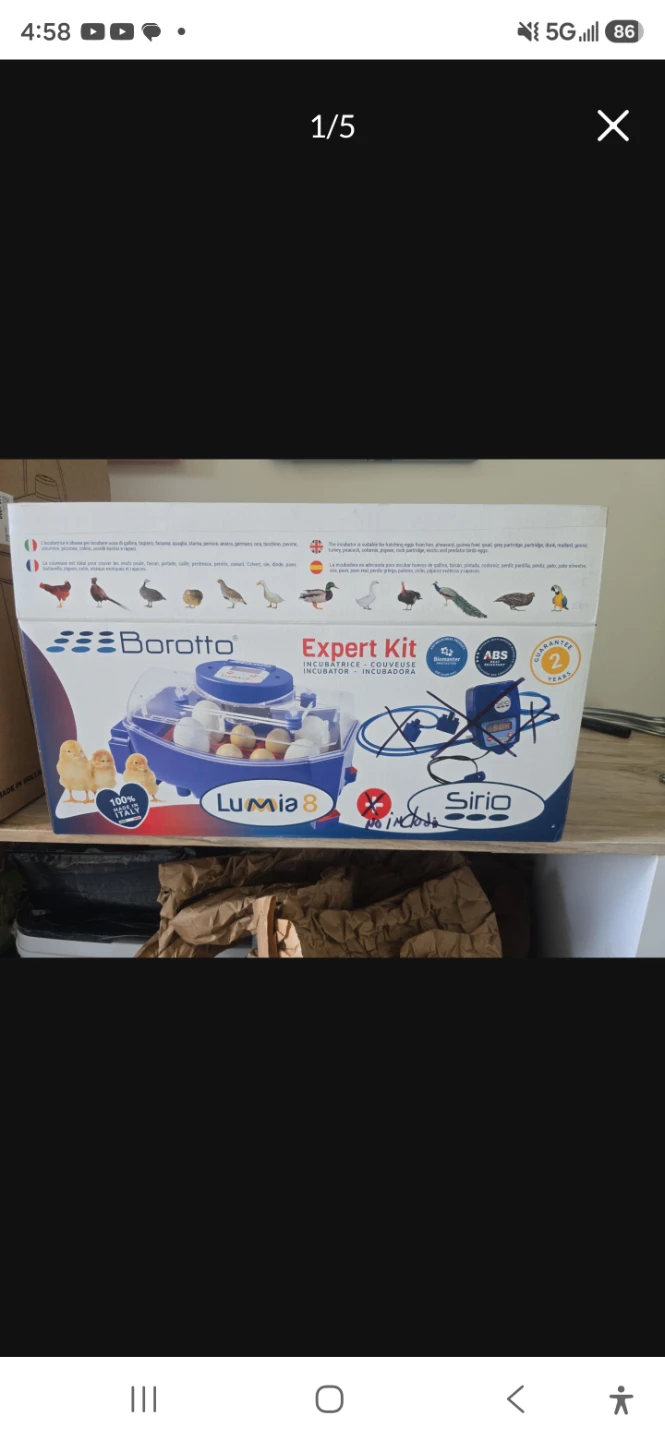 Borotto Lumia 8 Expert Kit Automatic Incubator
