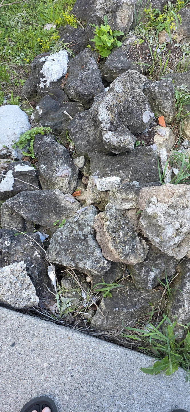 Assorted Rocks  for Landscaping - photo 3