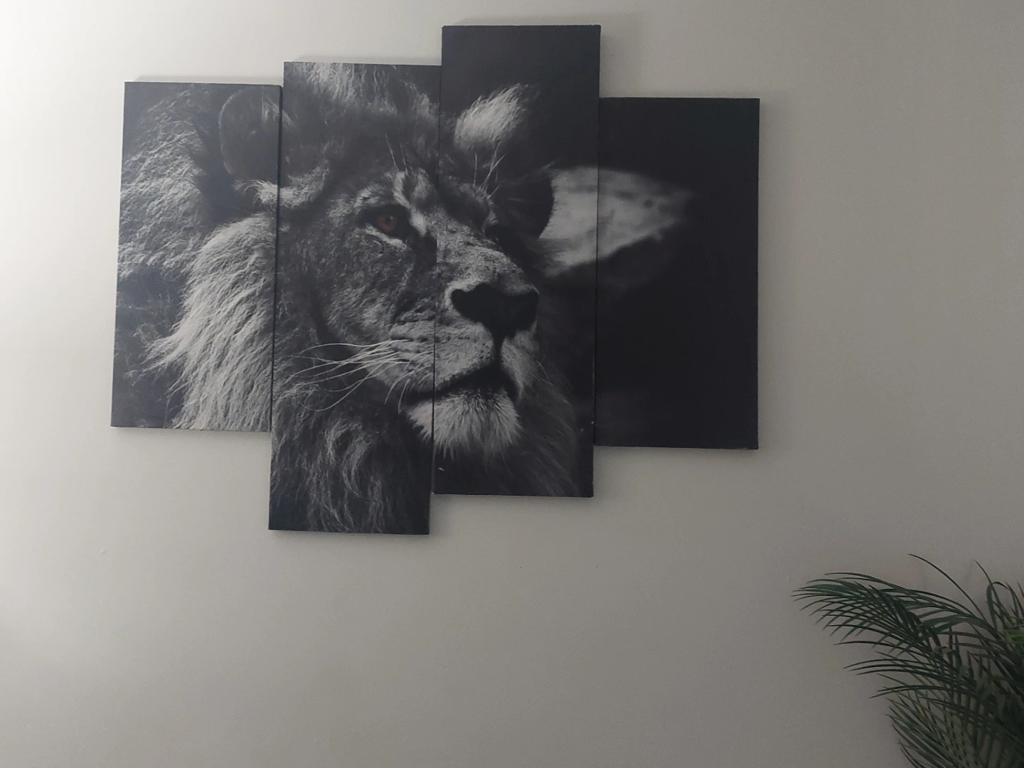 Moving Sale -Lion Head Canvas Wall Art