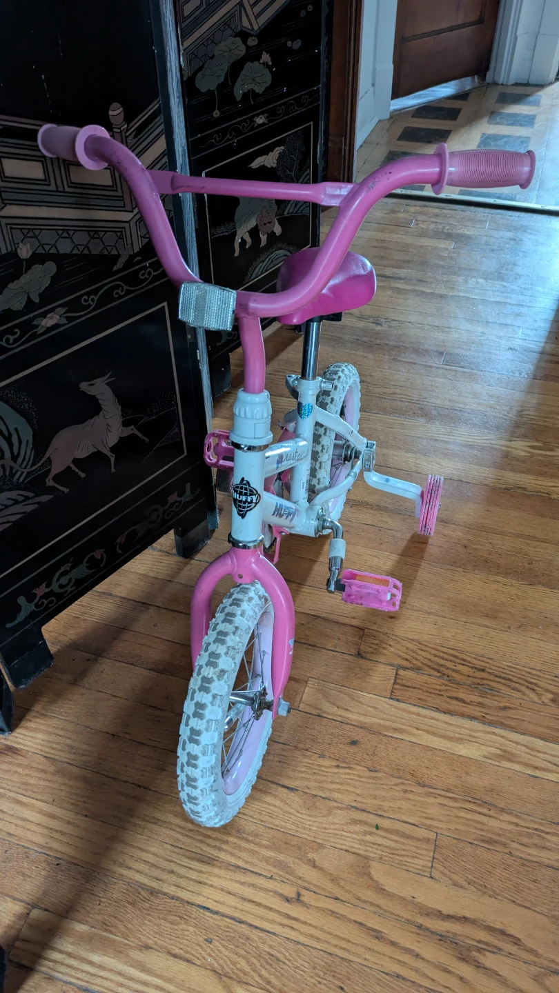 Pink Seastar 12" Kids Training Bike - photo 5