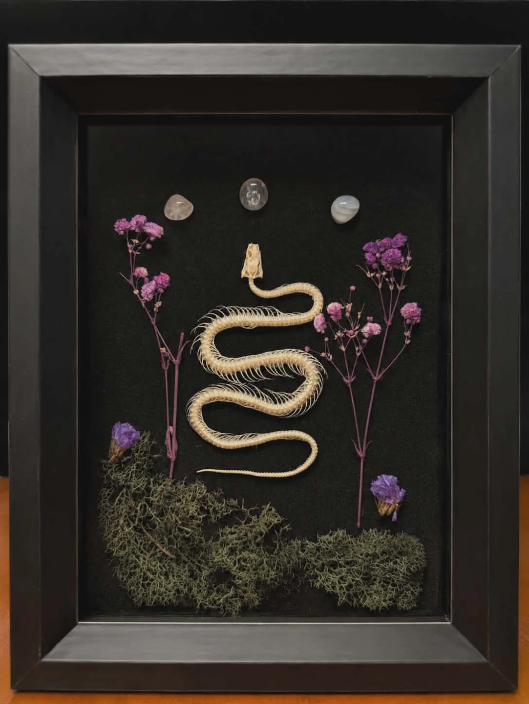 Mourning Bloom ( Handcrafted Snake Skeleton Shadow Box )