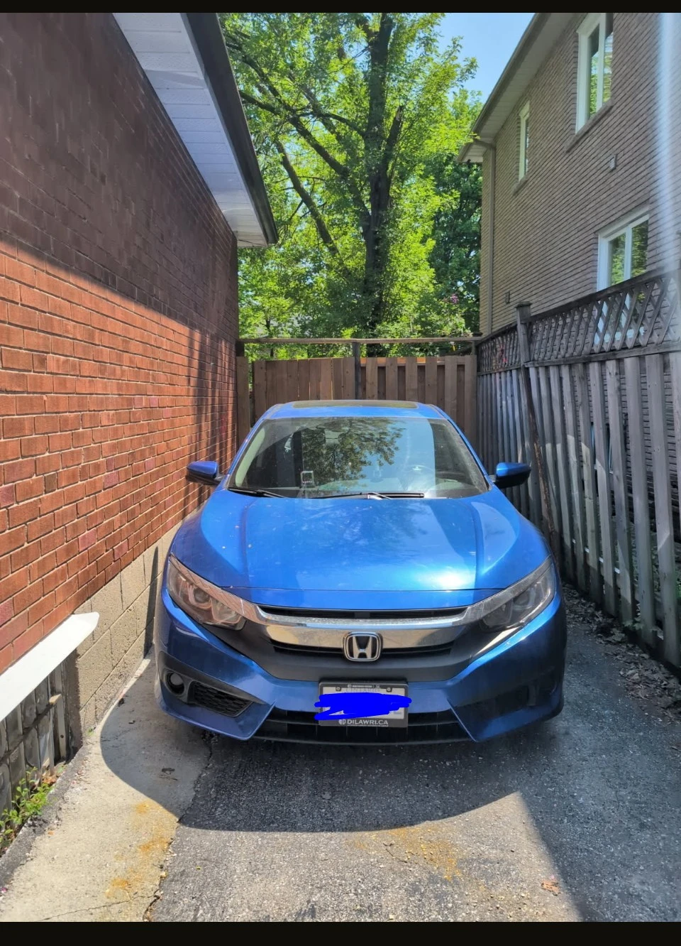 Blue Honda Civic Sedan EX (Top Model) - photo 2
