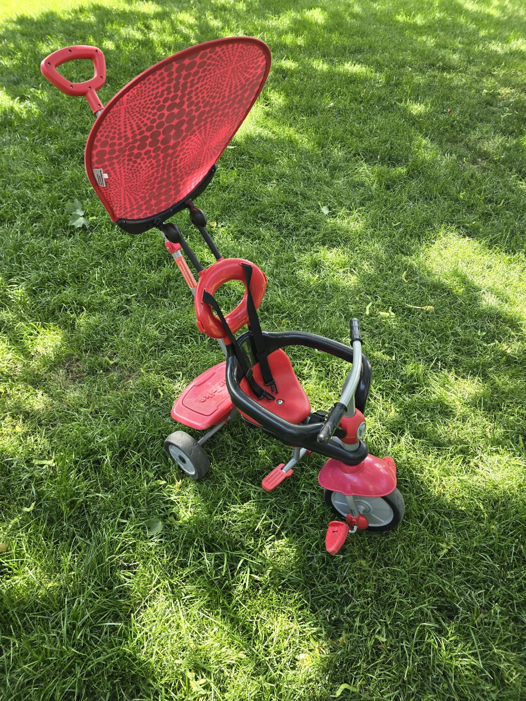 Smart Trike Red Tricycle