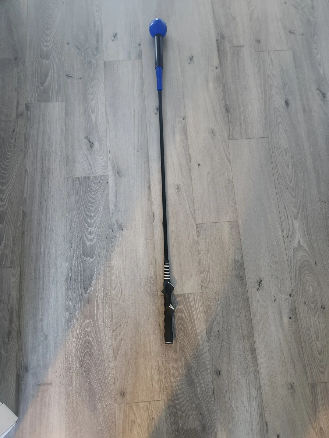 Golf Swing Trainer
