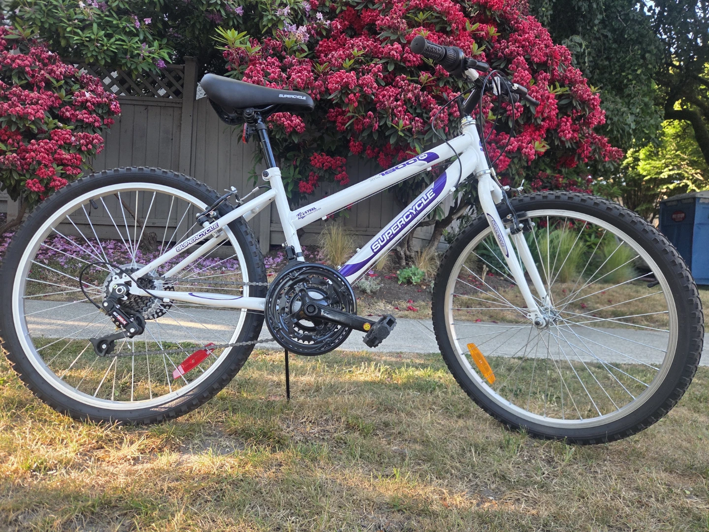 24" Mountain / City Bike - White & Purple