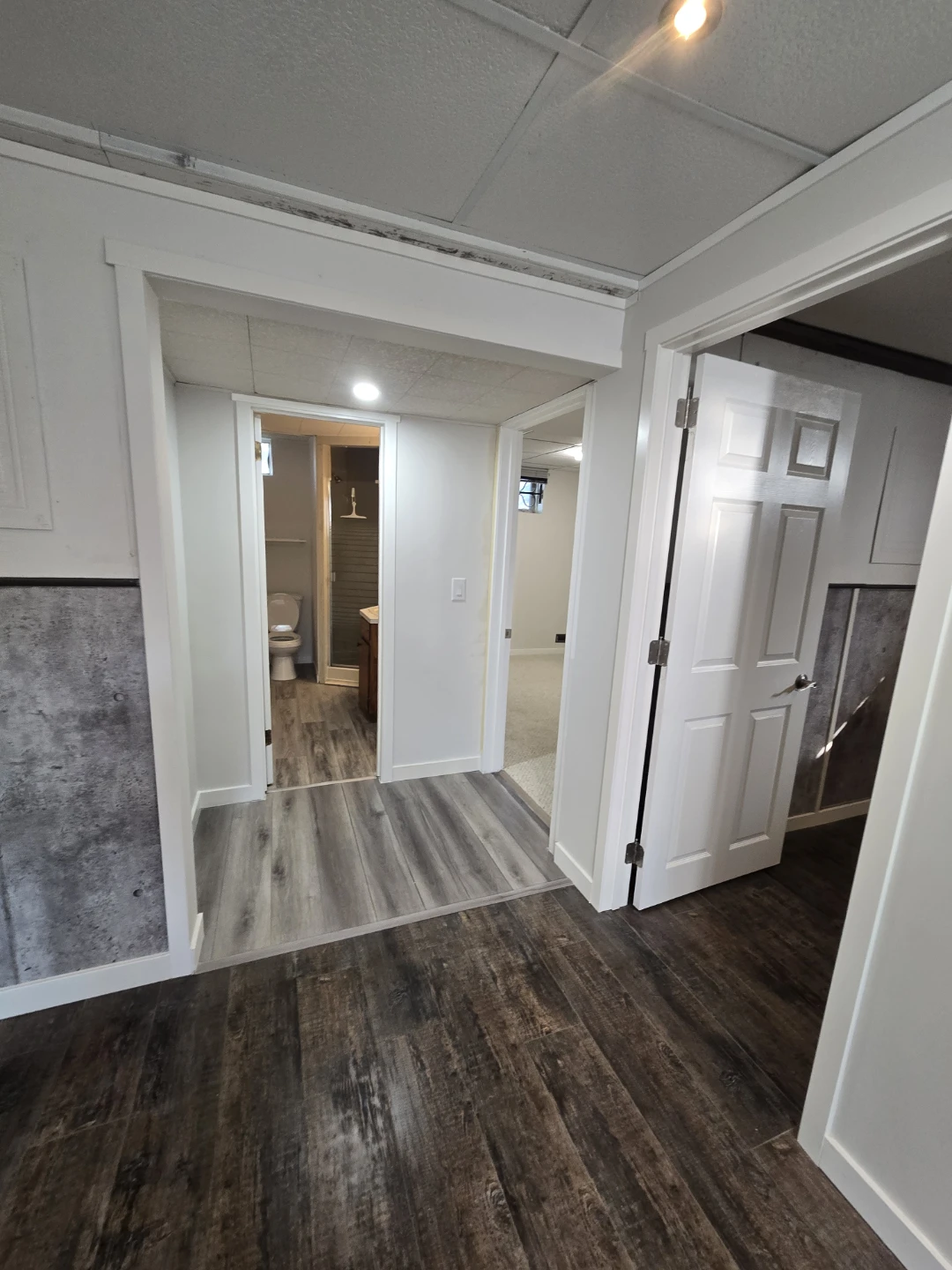 Newly Renovated Basement Suite - photo 5