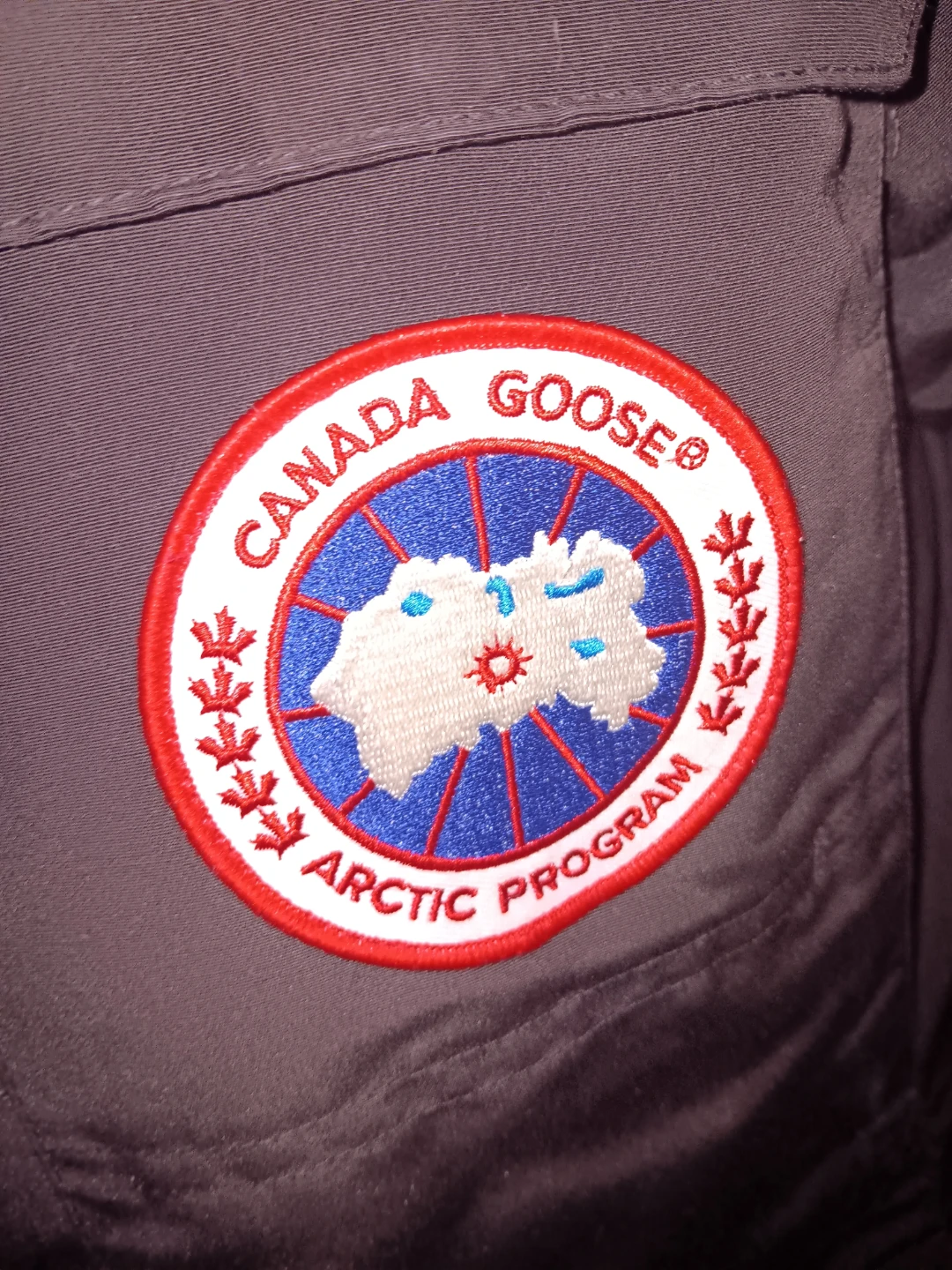 Canada Goose Arctic Program Parka - photo 5
