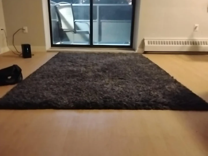 Shag Rug grey and black