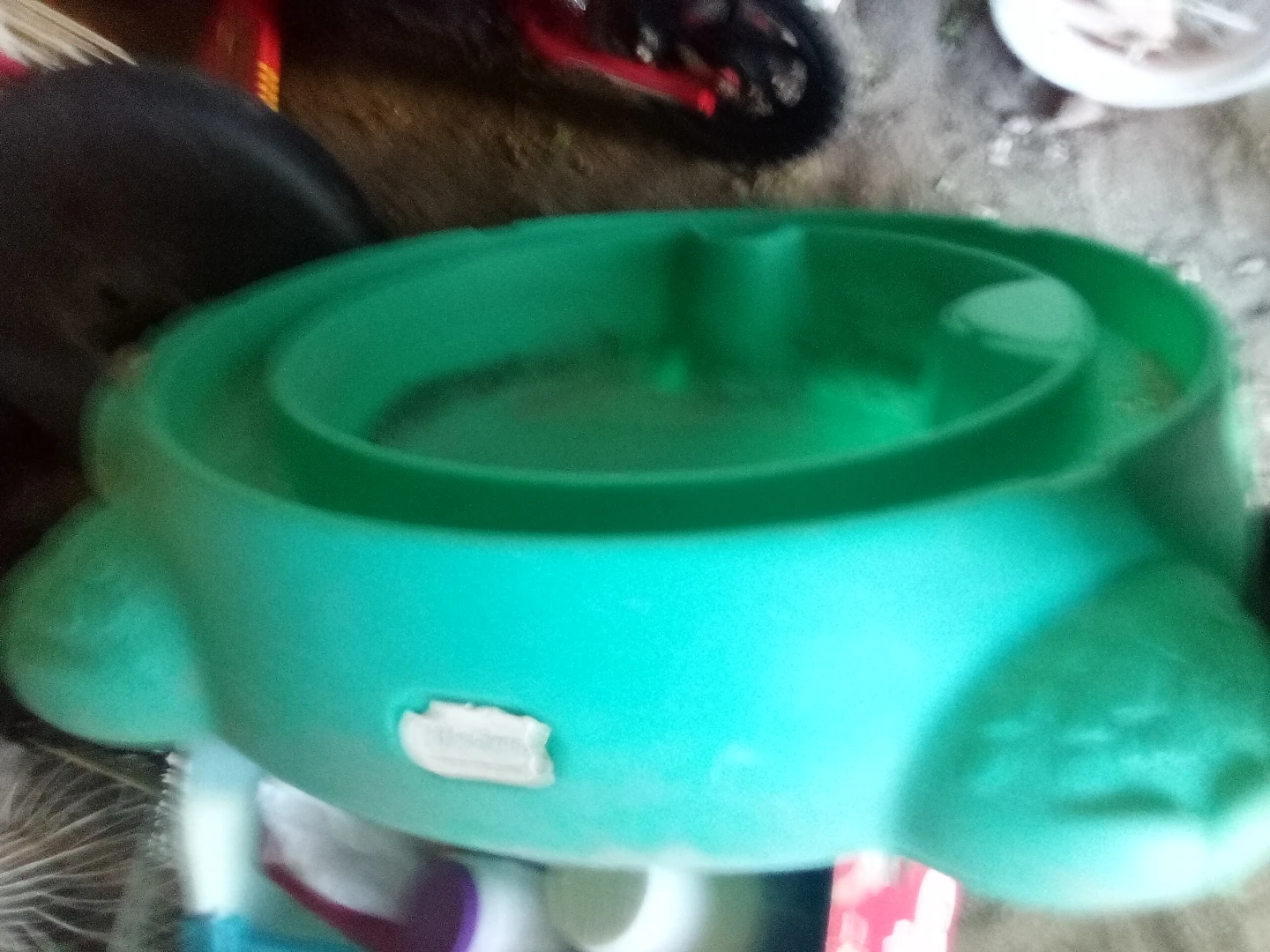 Green Turtle Activity Toy