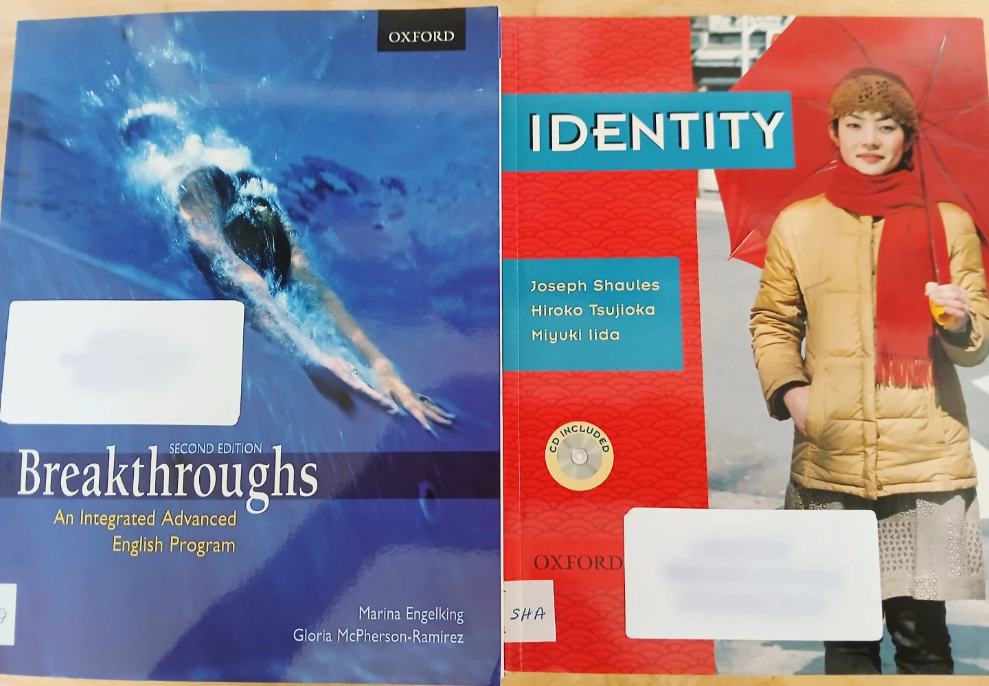 FREE ESL Books on Improving Conversation & Pronunciation - photo 2