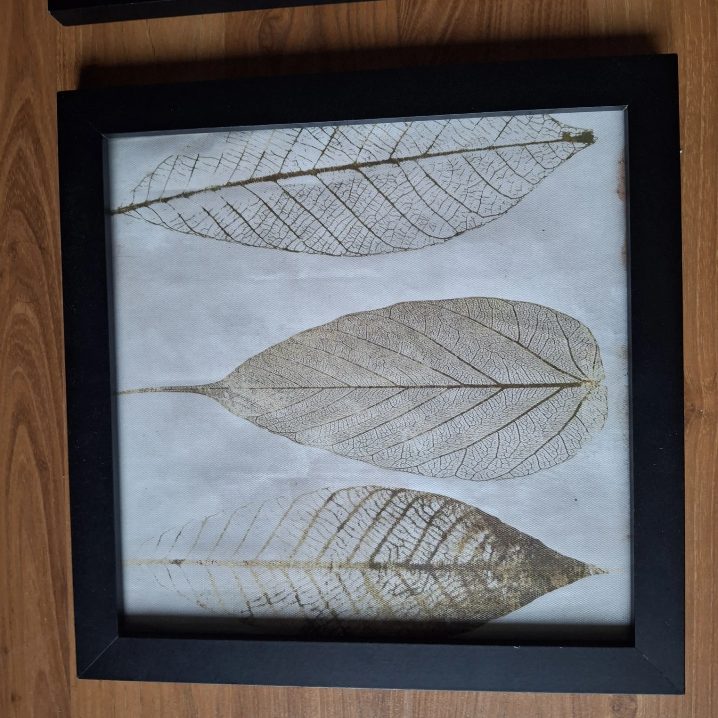 Framed Leaf Art Set - photo 2